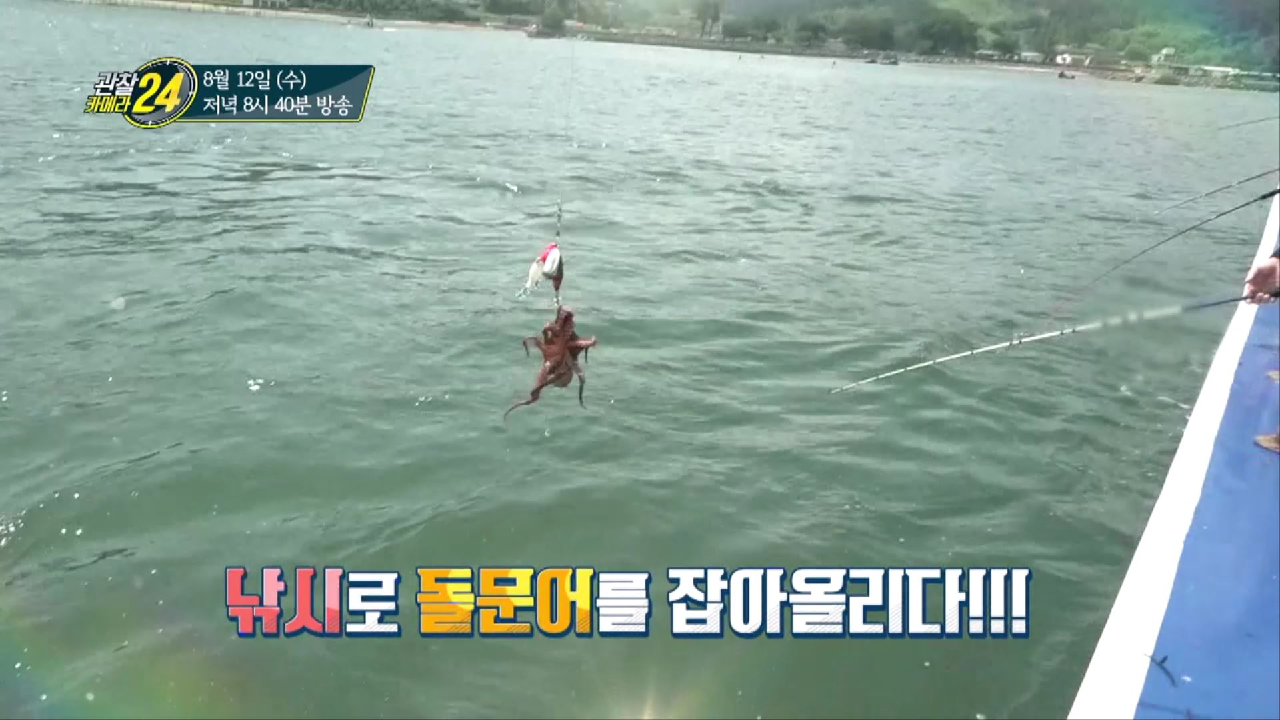 관찰 카메라 24 150회