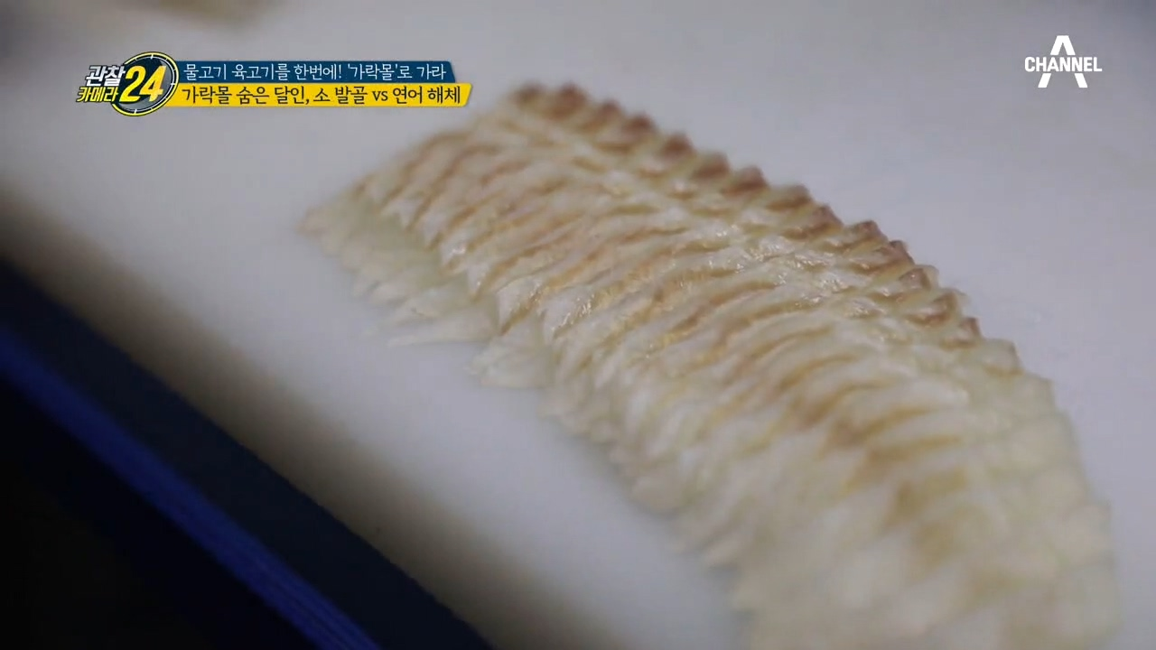 그의 손길에 *회*의 맛이 일렁인다~25년 달인의 신들린 손질!