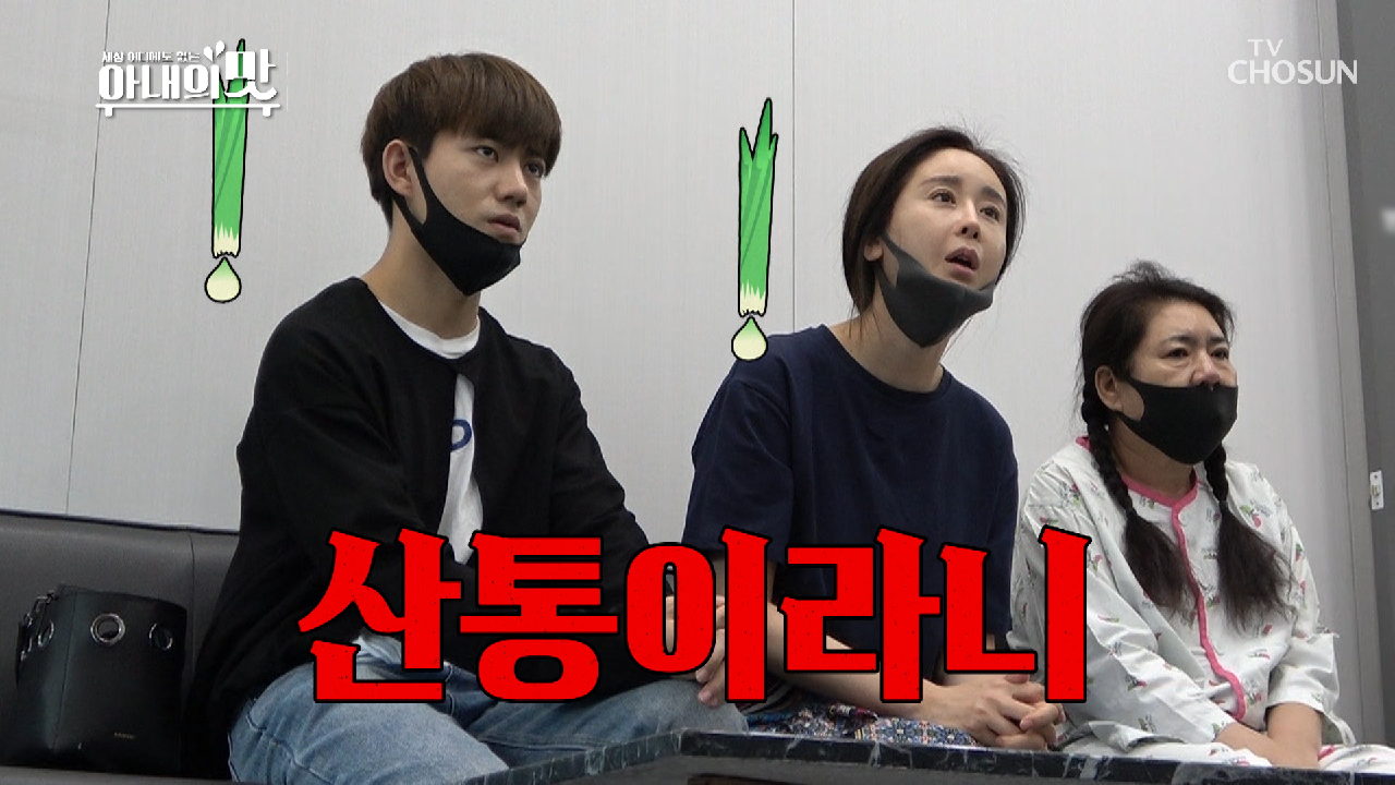 산통급 고통 ⊙⊙;; 담석 원인 8할은 고기?