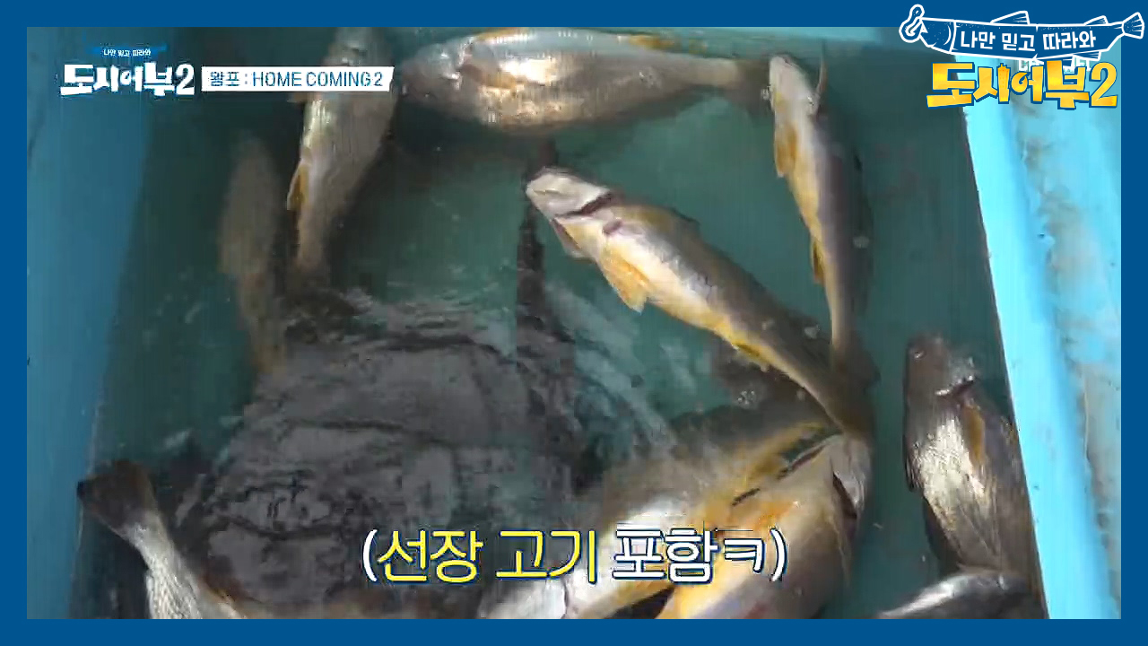 ＂한 시간 더 드릴게요♥＂ 아직 포기하긴 이르다! 80마리 도전 가즈아아...