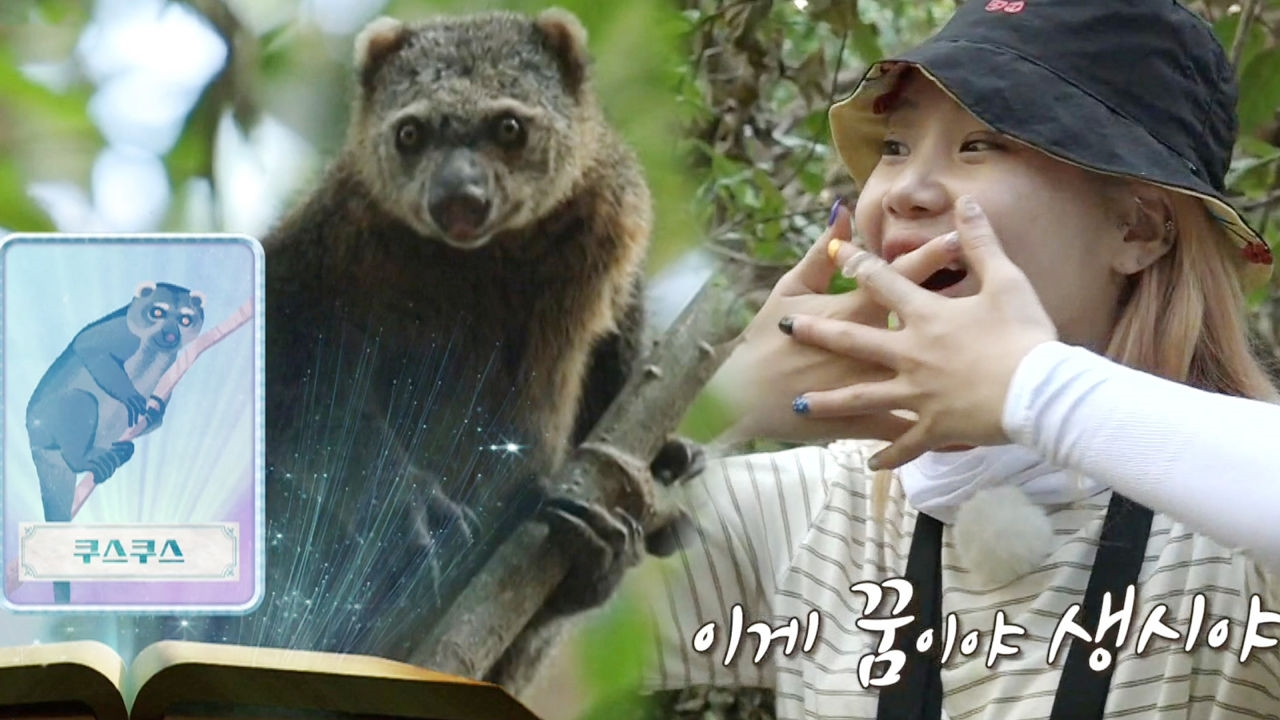 ‘新수용족’ 주이, 홀딱 반해버린 매력둥이 ‘쿠스쿠스’