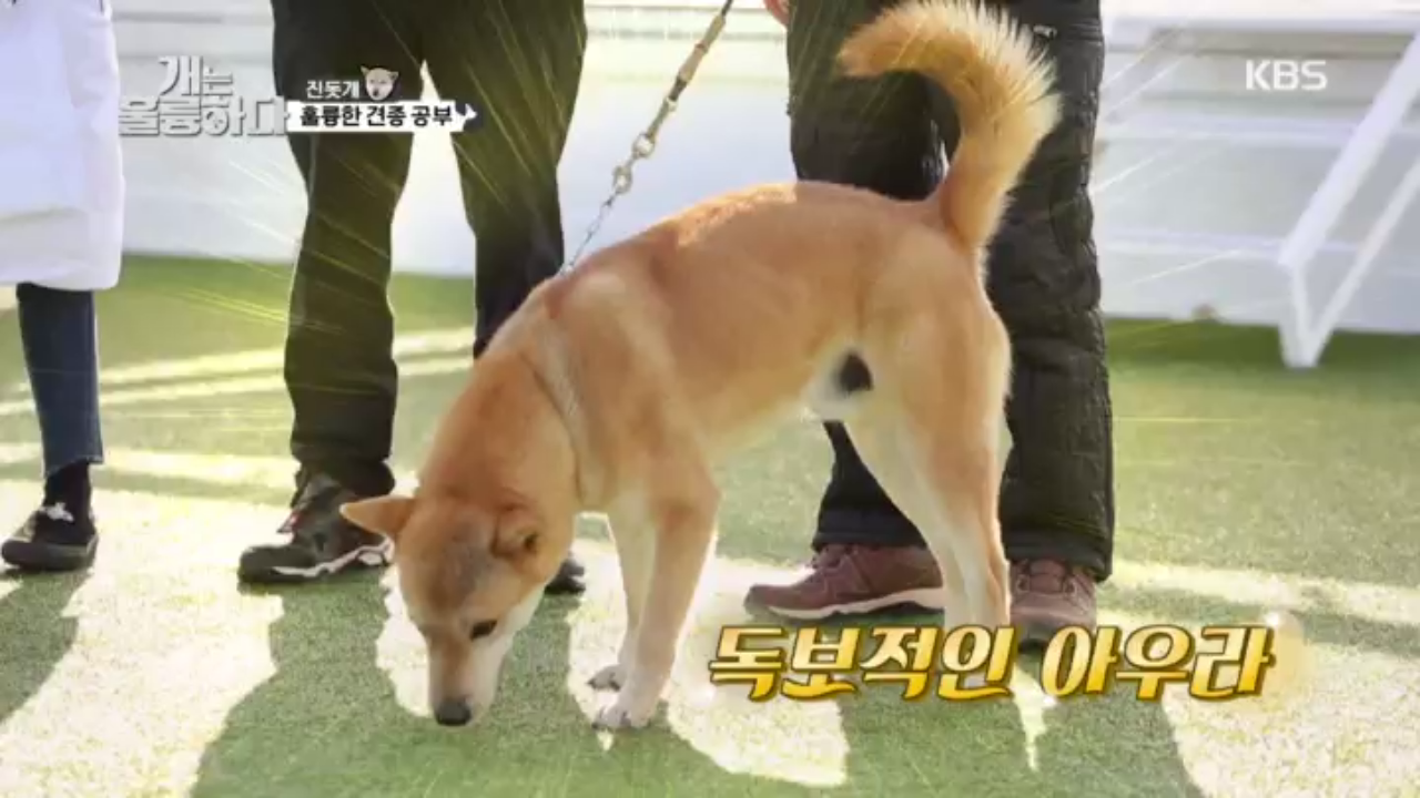 thumb.png?ts=1578926100