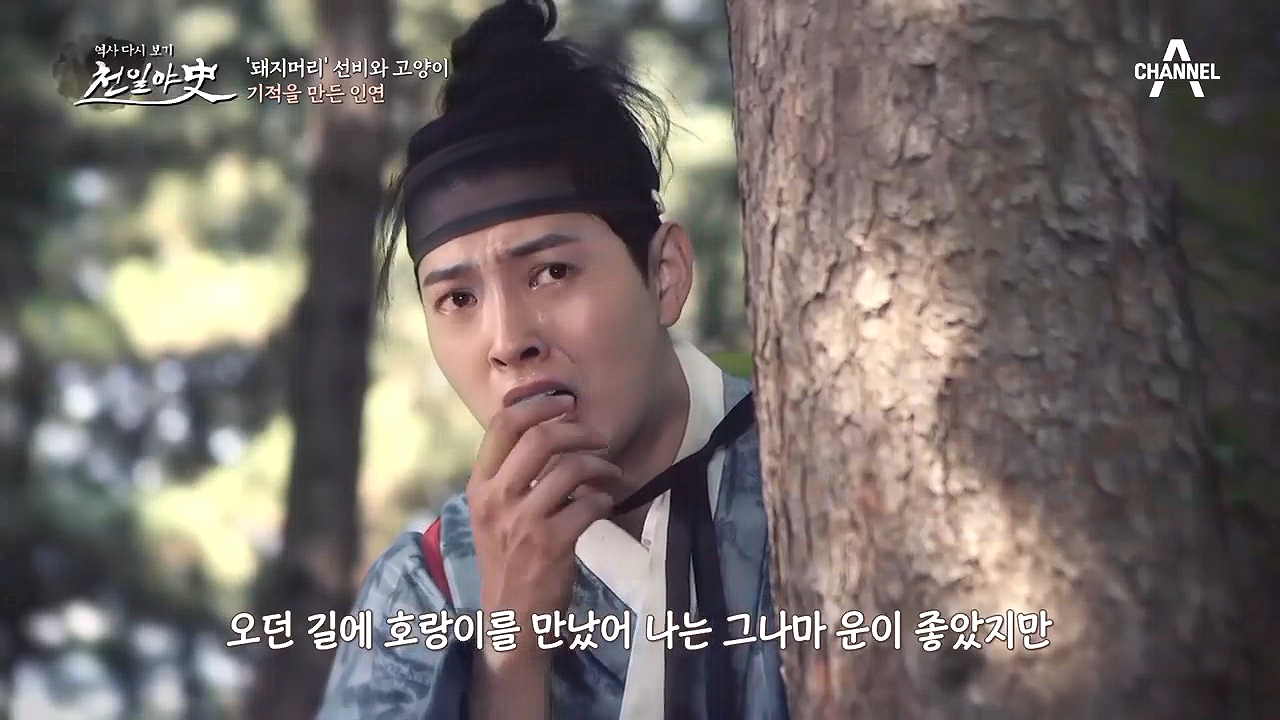 은혜갚은 고양이(໑ↀㅅↀ໑)! 고양이 덕에 호랑이 밥이 되지 않은 선비