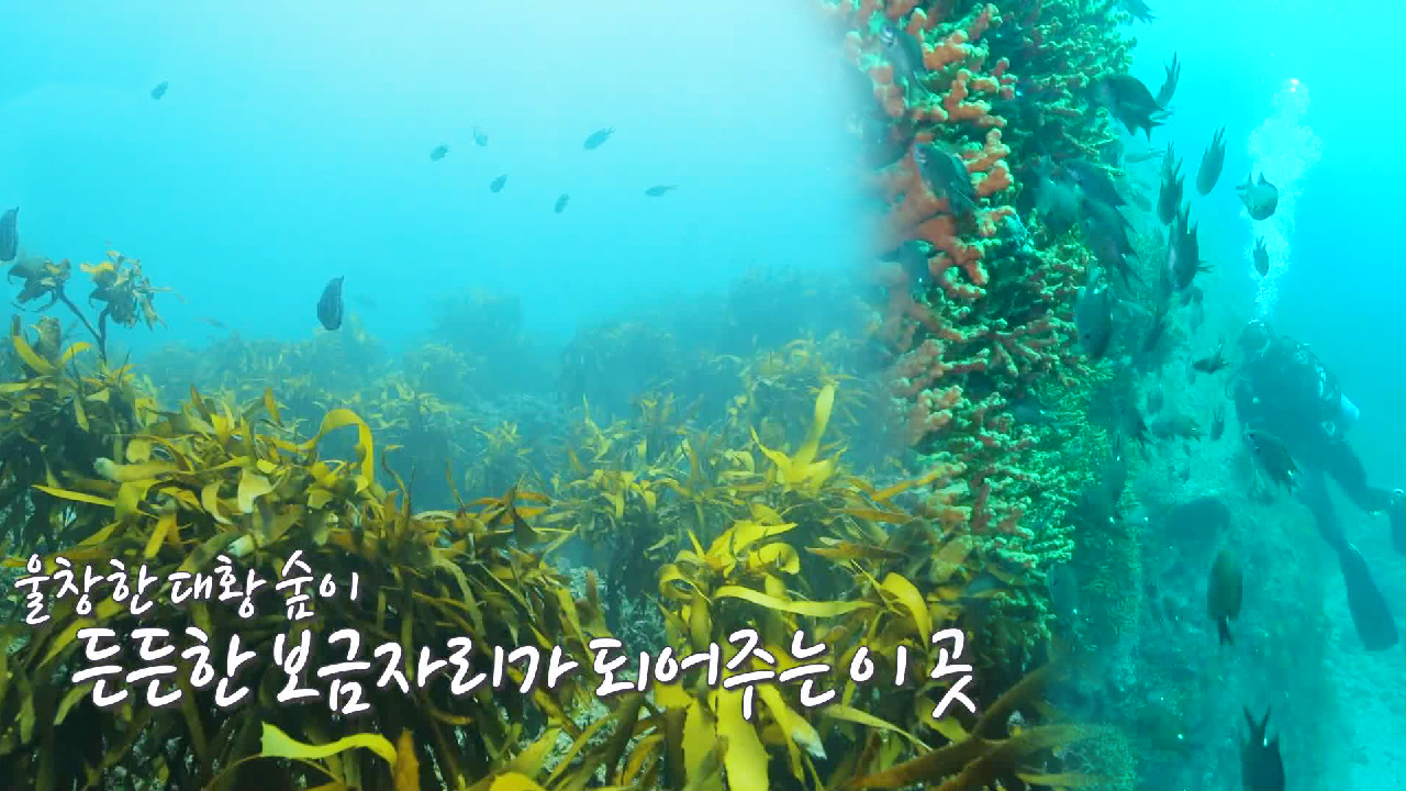 김병만, 너무나 아름다운 우리나라 끝 섬 소개!