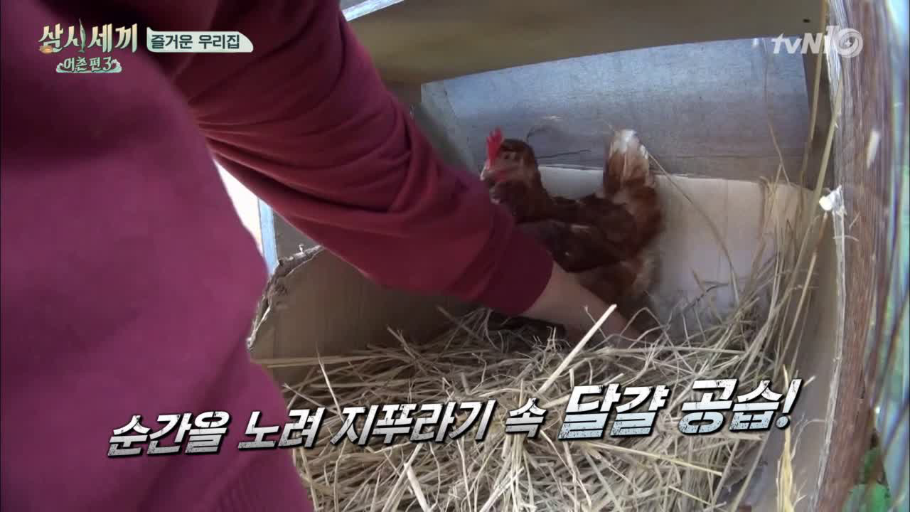 귱턴의 신비한 동물사전