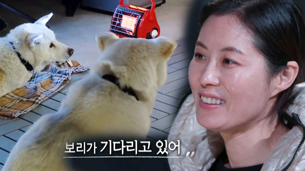 thumb.png?ts=1578231447