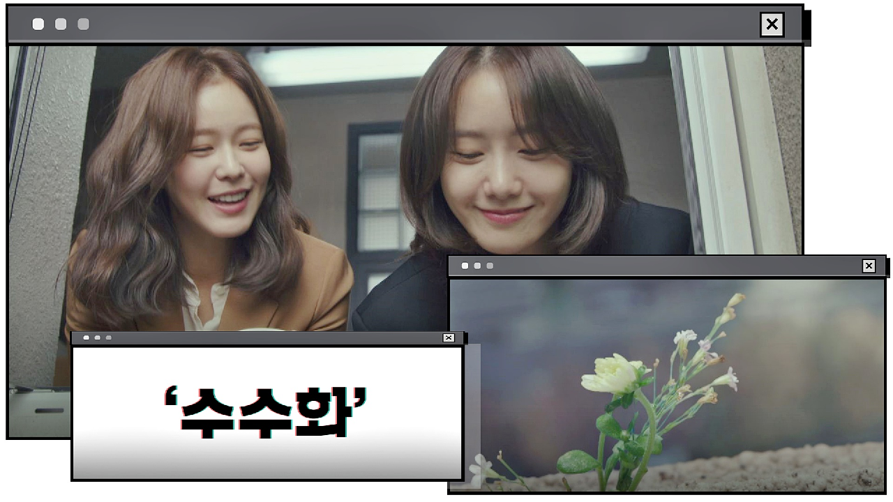 벽돌 틈에 핀 &#39;수수화&#39;에 웃음꽃 피는 임윤아-경수진 (이 조합 찬성♡)