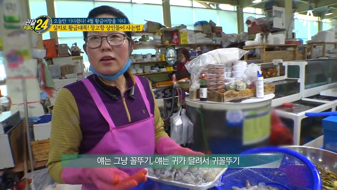 ◈일 년에 딱 두 달!◈ 장고항 상인들의 '실치 황금대목'의 풍경은?!