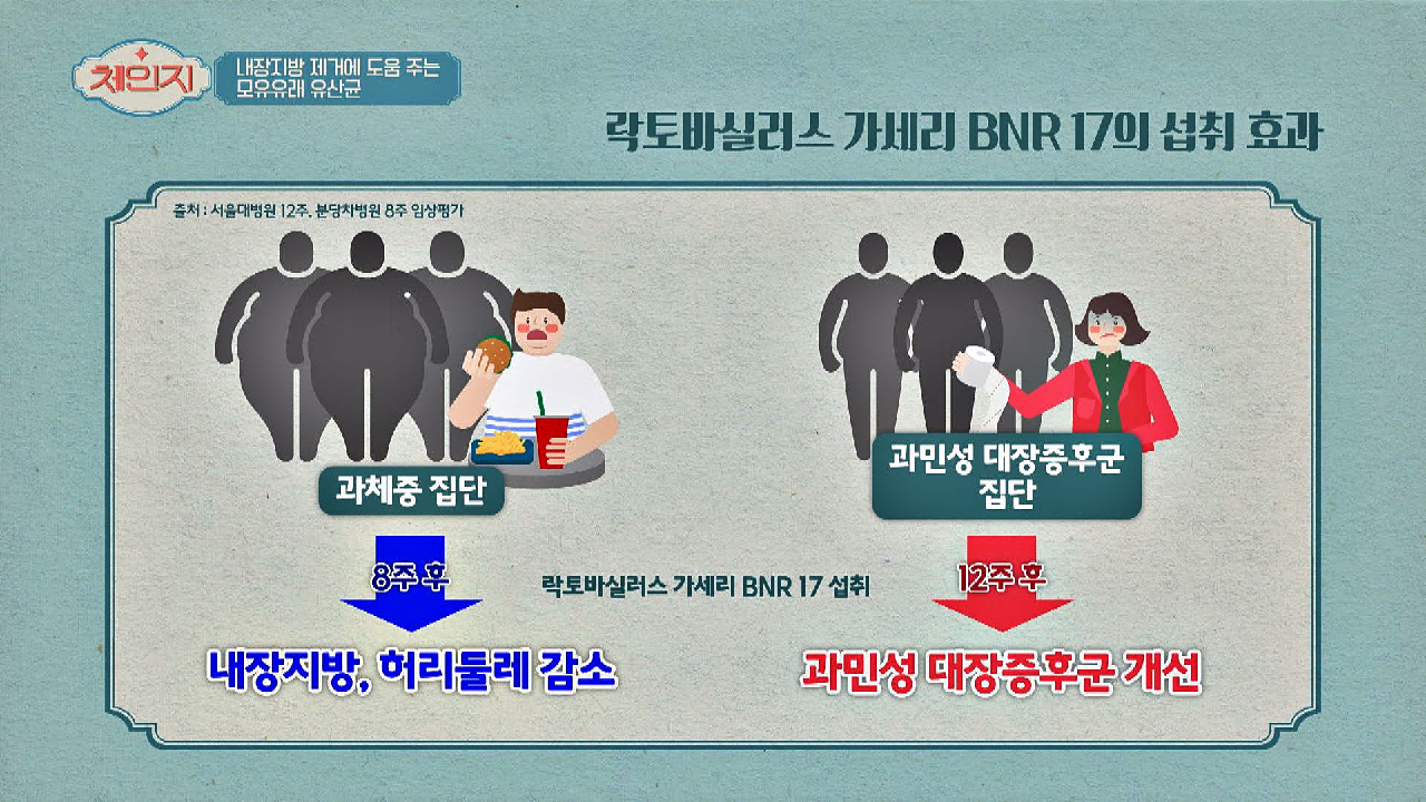 모유유래 유산균의 핵심 균주 &#39;락토바실러스 가세리 BNR 17&#39; 효과