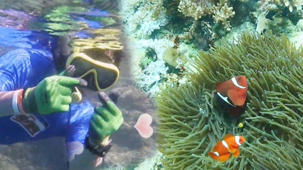 박상원, 생존 종료 위해 나선 바닷속 탐험