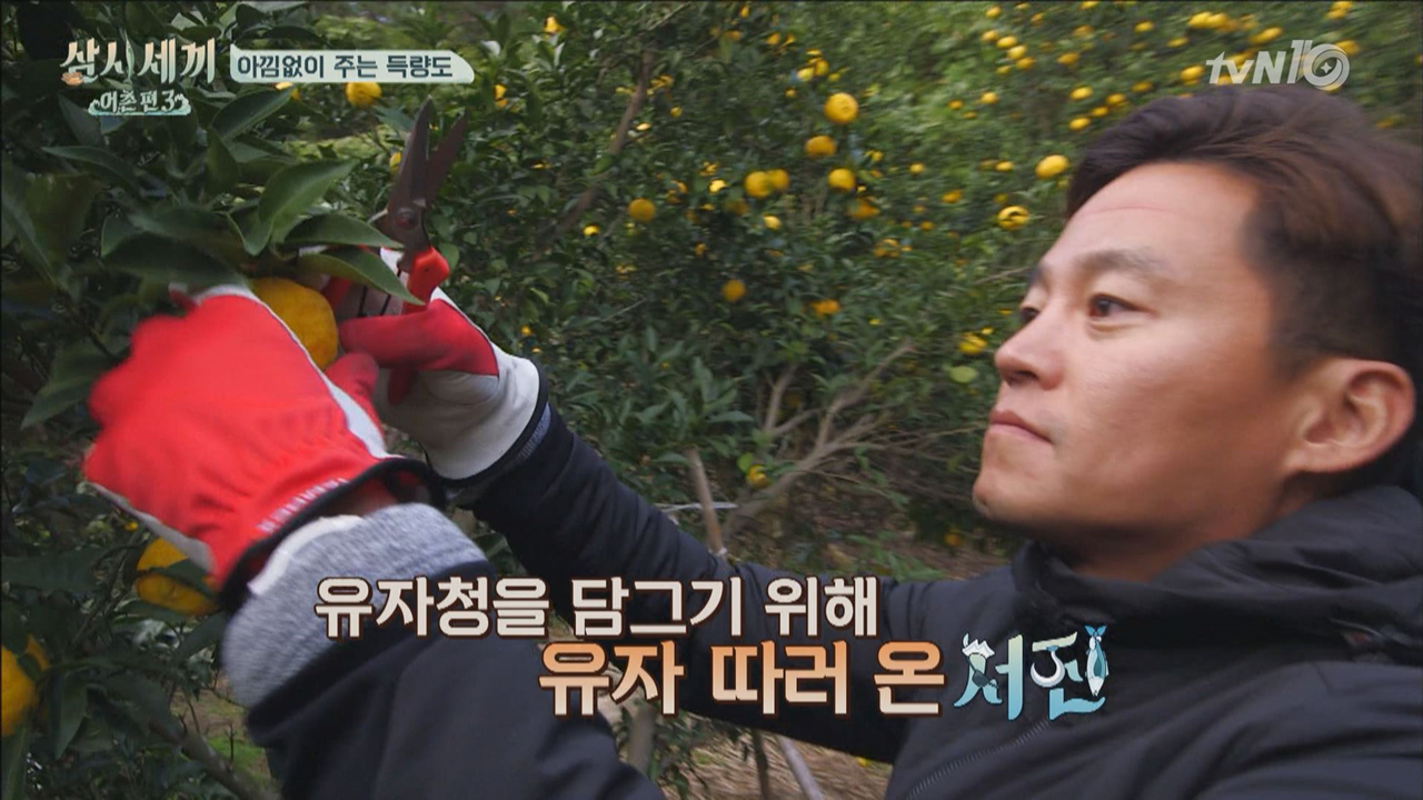 고흥유자는 처음이쥬유? '유자'지니의 유자청!