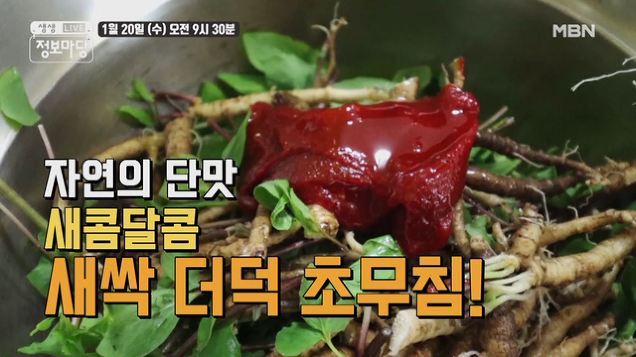생생 정보마당 [803회] - 실속 있는 수요일 MBN 210120 방송 - kakaoTV 생생 정보마당 [803회] - 실속 있는 수요일 MBN 210120 방송