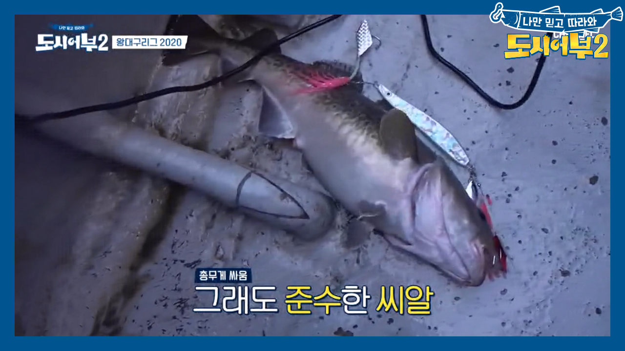 대구 한 마리에 희비교차, 난리 난 도시어부들!