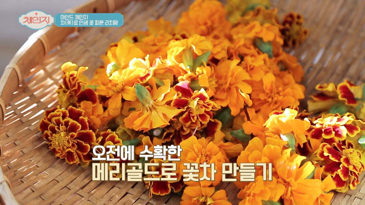 차(茶)로 인생 꽃피운 리치맘의 &#39;메리골드 꽃차 만드는 법&#39;