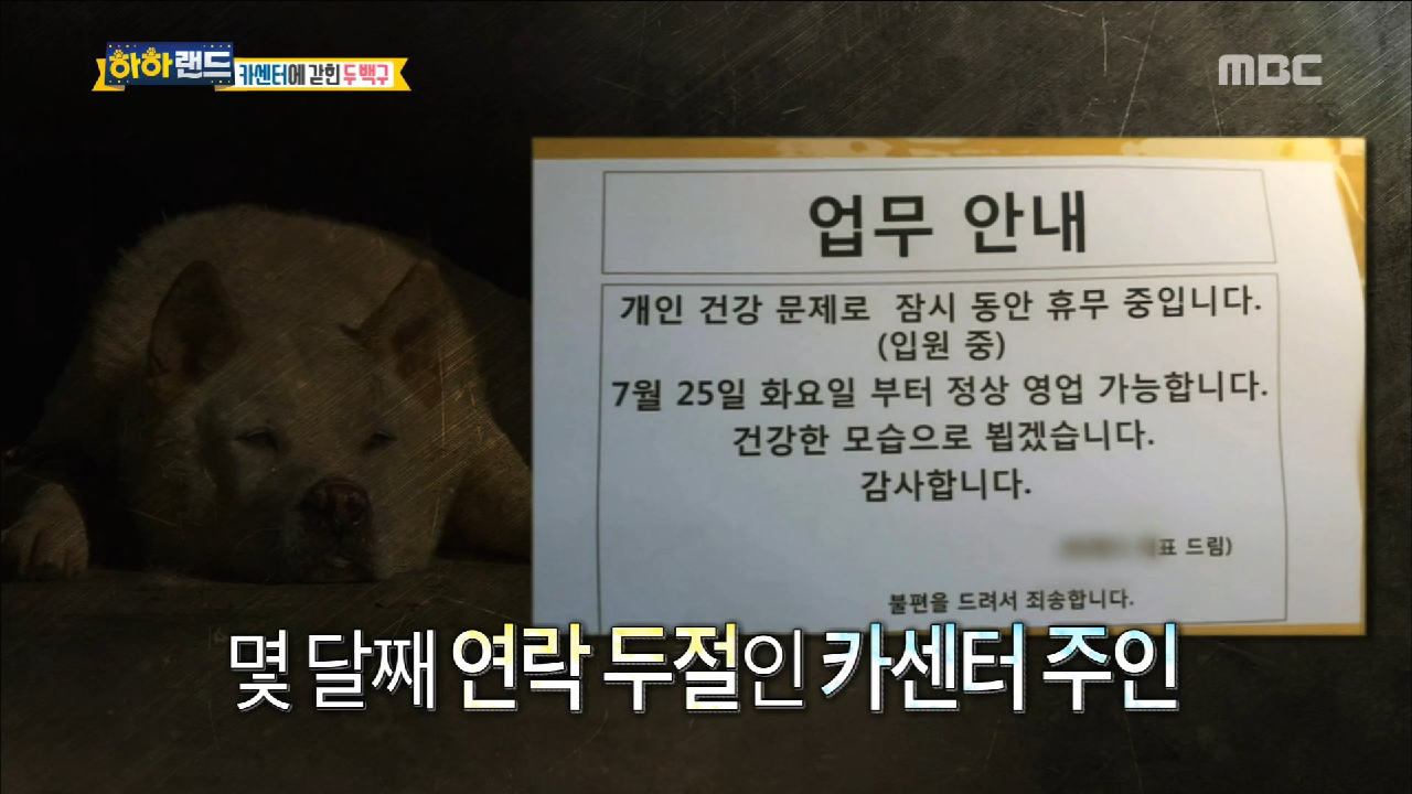 주인 없는 카센터에 방치된 백구 부자! - kakaoTV 주인 없는 카센터에 방치된 백구 부자!
