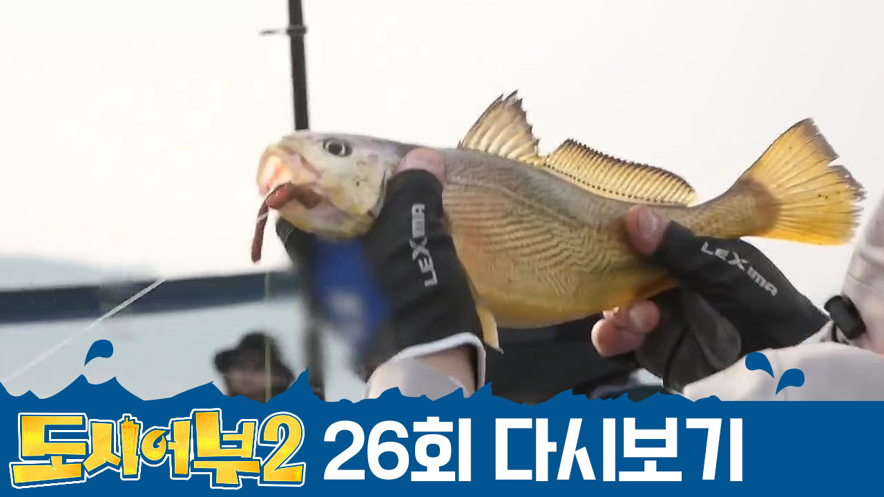 우당탕탕 메인플라워호♥ 감성돔부터 조기까지! 왕포에서 어복 터졌다?!