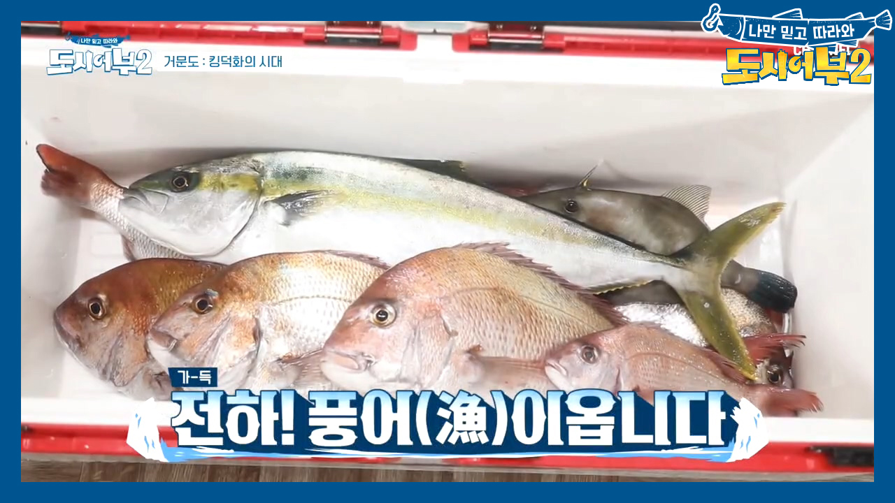 풍족한 저녁 식사♡ 1위한 참돔이 횟감으로! 어마 무시한 전리품 대령이요~