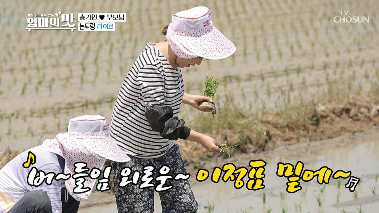 ↖부녀 노래자랑↗ 송가인의 노래실력은 외탁? 친탁?