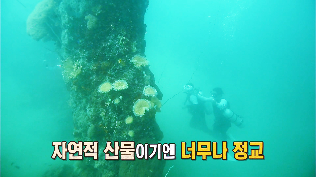 김병만×노우진, 1500년 전 만든 수중 구조물에 ‘놀람’