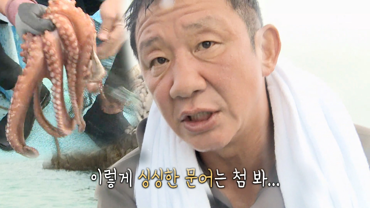 “우와! 이건 진짜 싱싱하다!” 허재, 김족장이 잡은 문어 보고 감탄!