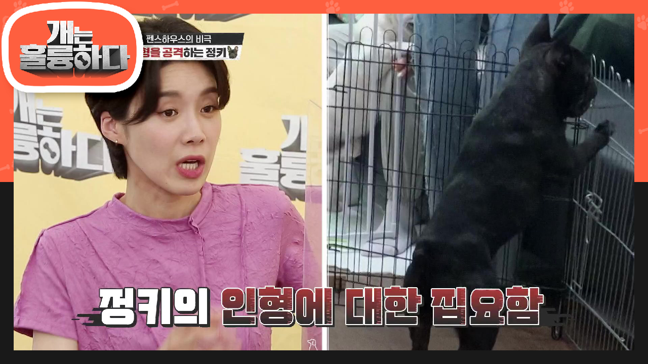 오자마자 정키의 인형에 대한 무서운 집착성! | KBS 210628 방송