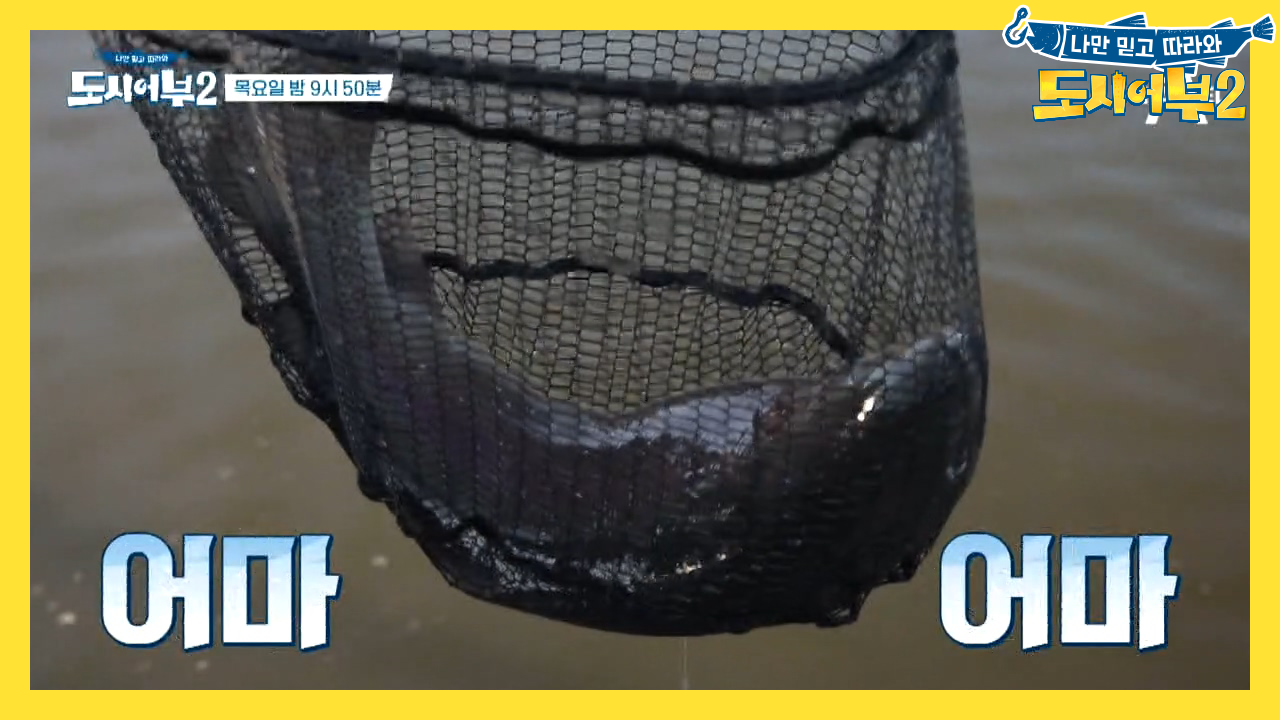 [선공개] '몬스터 송어' 빵 실화냐.. 대한민국 송어 역...