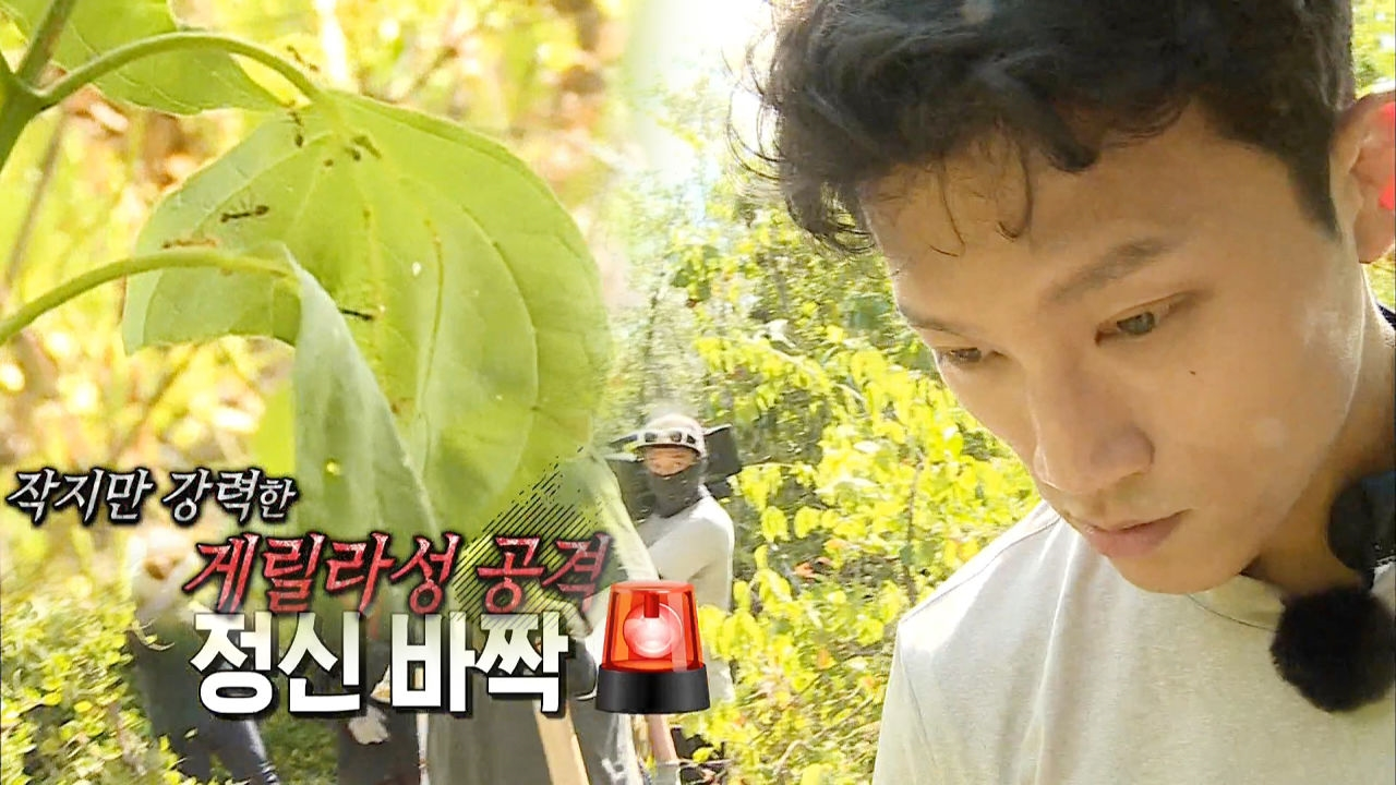 “아! 따가워!” 제작진 습격한 불개미에 정법 멤버들 비상!