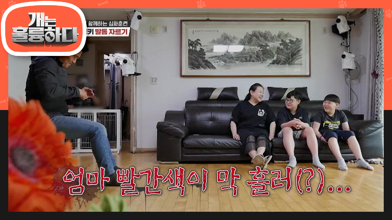 ※찰떡 비유※ 훈련사들도 입마개 착용 후 발톱 손질! 각오가 필요한 발톱 깎기 교육! | KBS 210524 방송