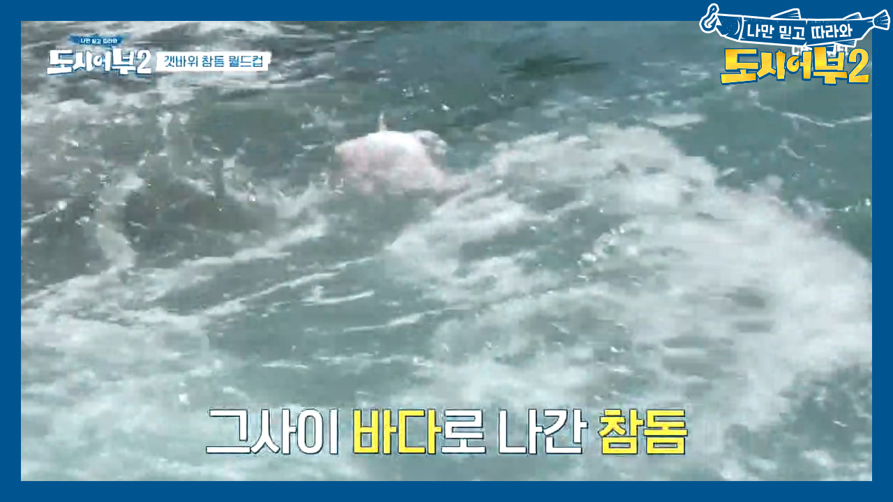 [경규와 참돔의 행방불명] 7짜 참돔이 파도에 휩쓸려 사라졌다⊙ㅁ⊙?!