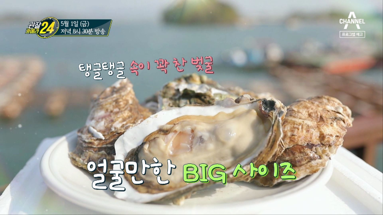 관찰 카메라 24 135회