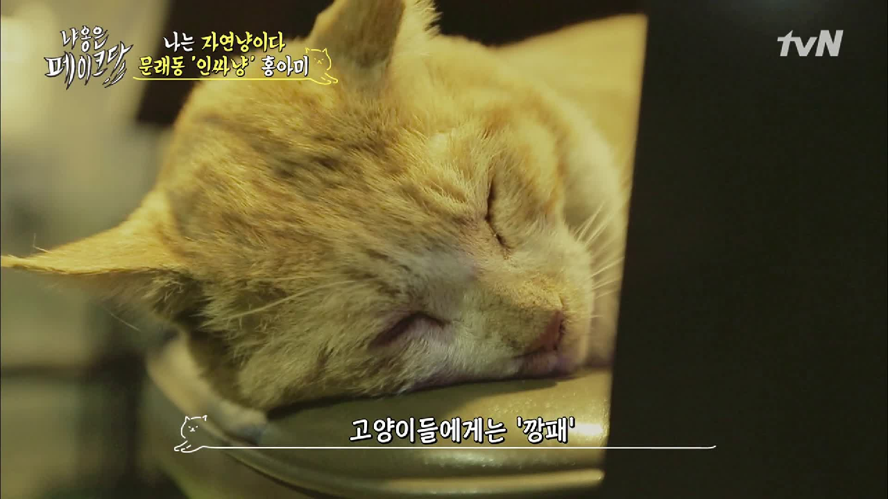 thumb.png?ts=1578237485