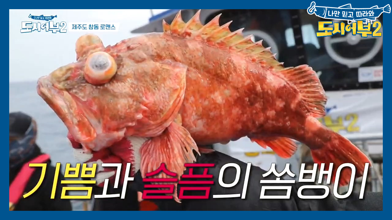 얘 너무 커서 징그러워;; 어복 황제 이경규, 5짜 쏨뱅이 '터치...