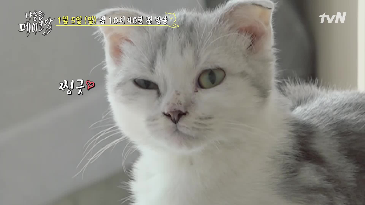 thumb.png?ts=1578237485