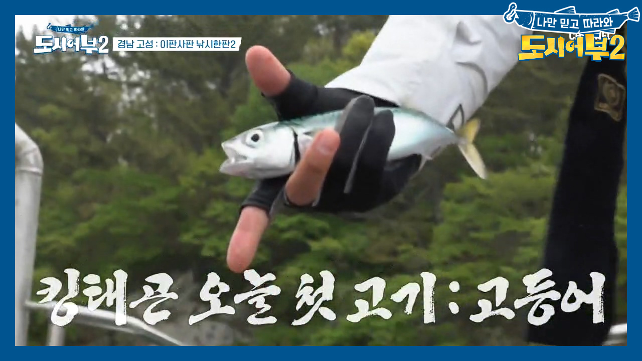 잡어킹 태곤의 새로운 어종 등장~!! 그의 첫 ★고.등.어★