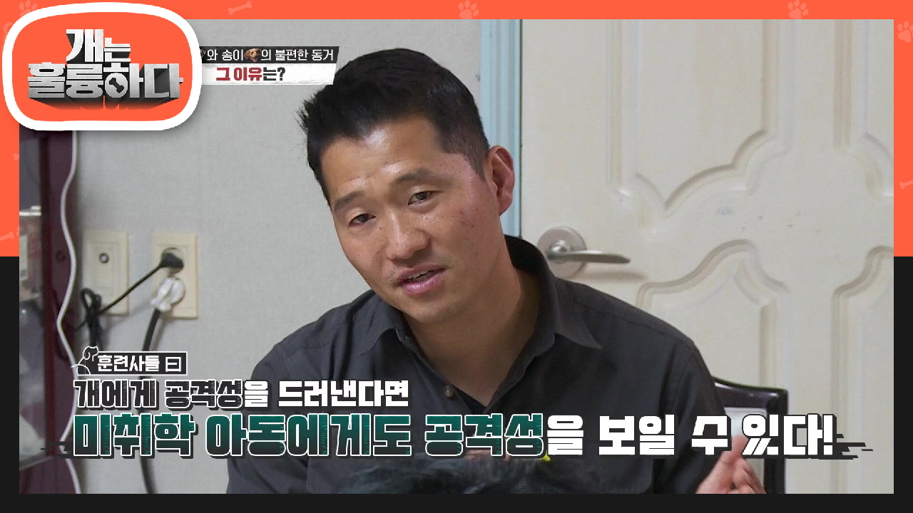 하트와 송이의 불편한 동거 그 이유는? 잠재된 공격성의 위험! | KBS 210531 방송