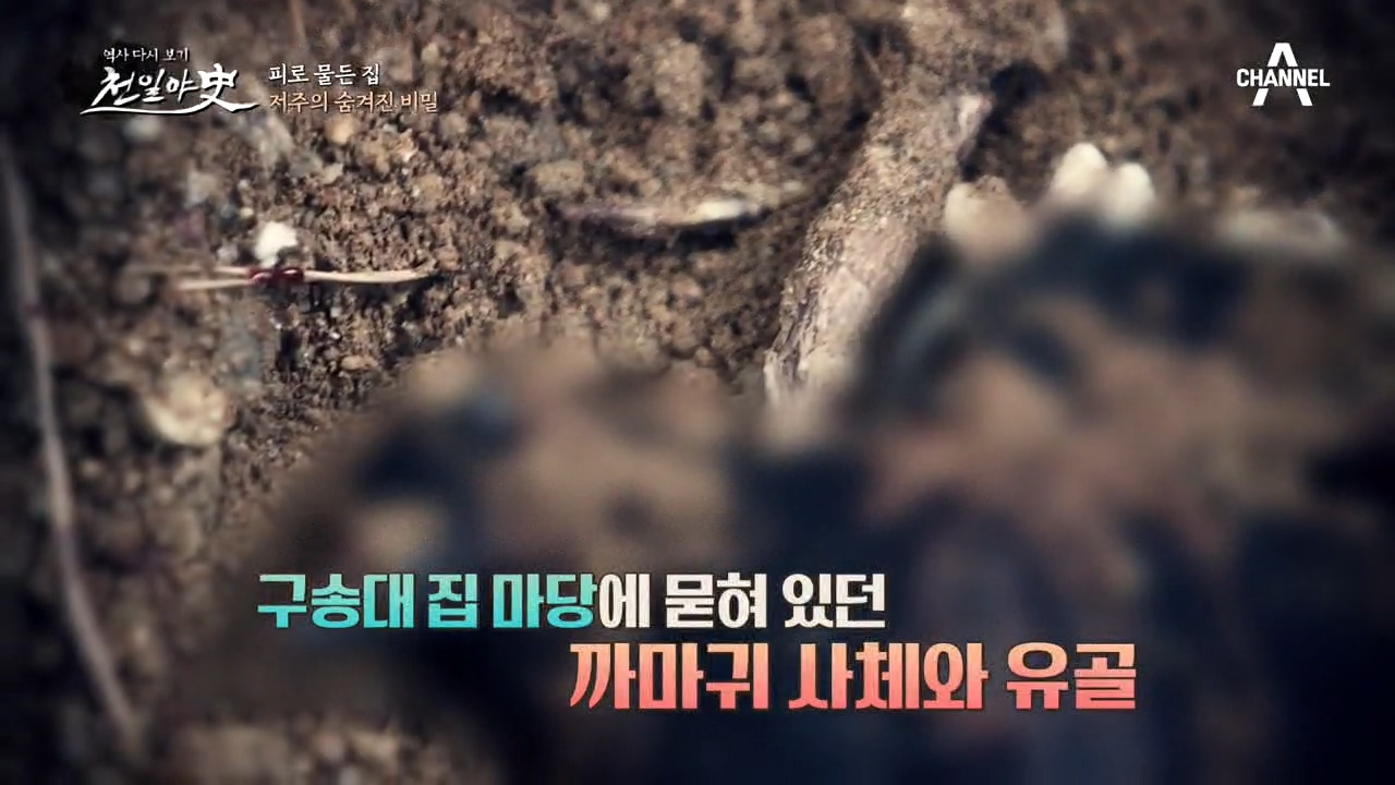 마당에 묻힌 까마귀 사체와 유골... 집안을 피로 물들인 저주의 정체