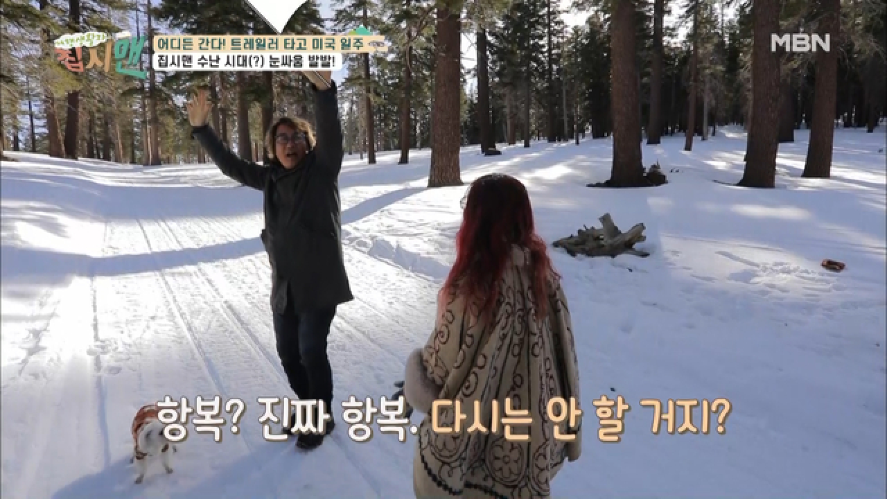 thumb.png?ts=1582429226