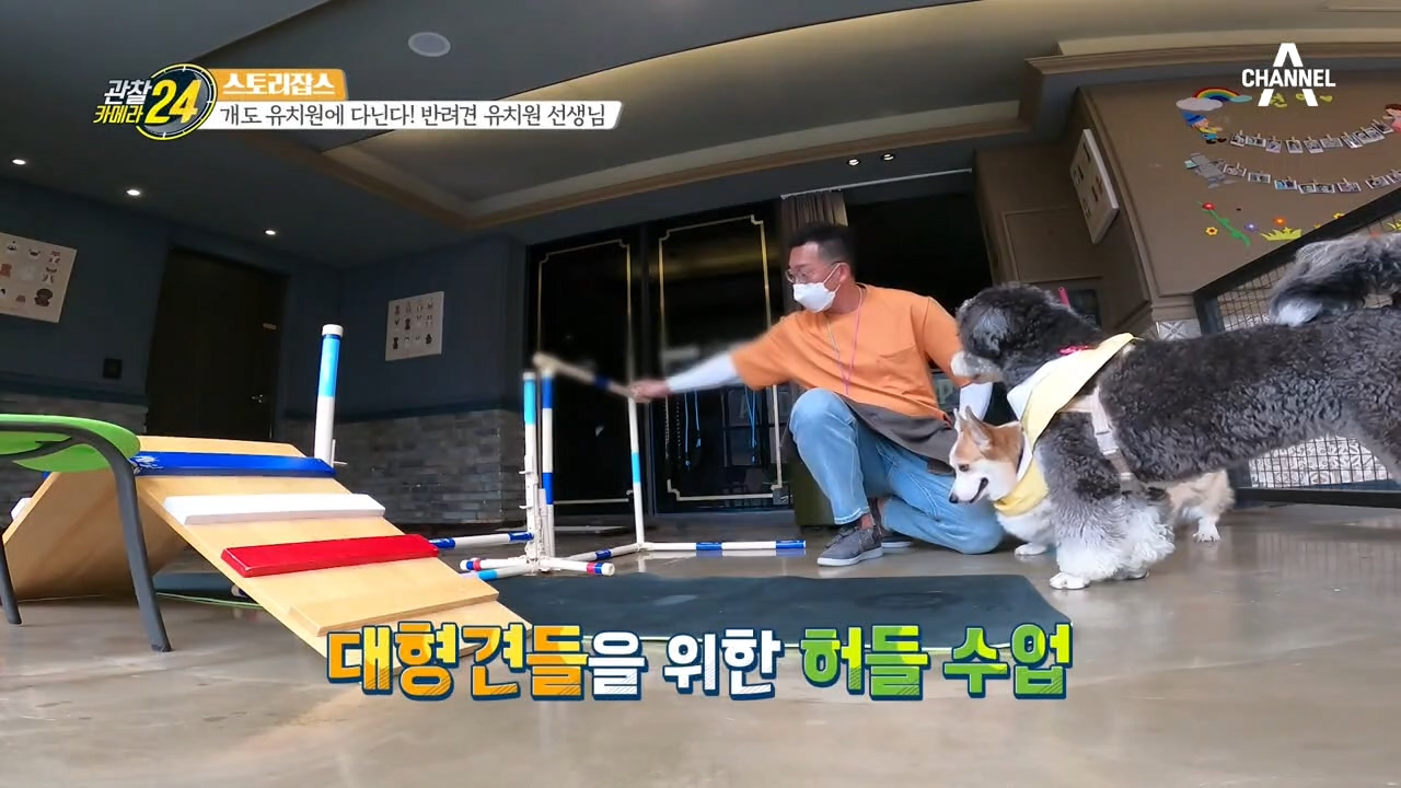 반려견 유치원의 수업시간, 건강 진단부터 사물 인지 수업까지!