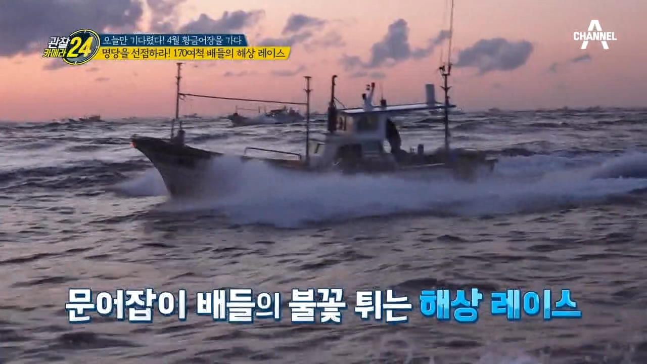 ▶긴장감 최고조!◀ 명당을 잡기 위한 170여 척 배들의 불꽃 튀는 해상 레이스!