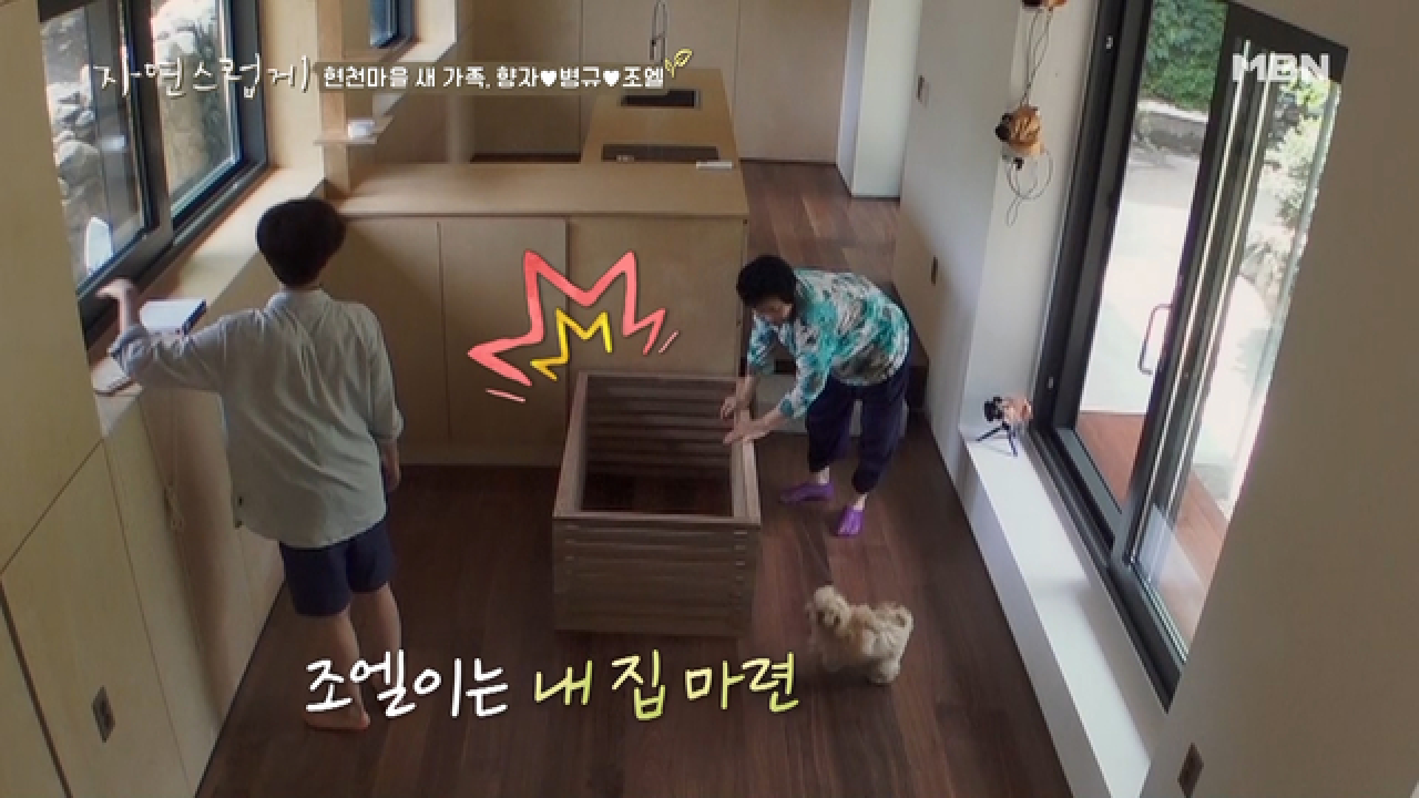 ♥귀염뽀짝 조엘♥ “내 집 마련했어요!” 월세는 애교!