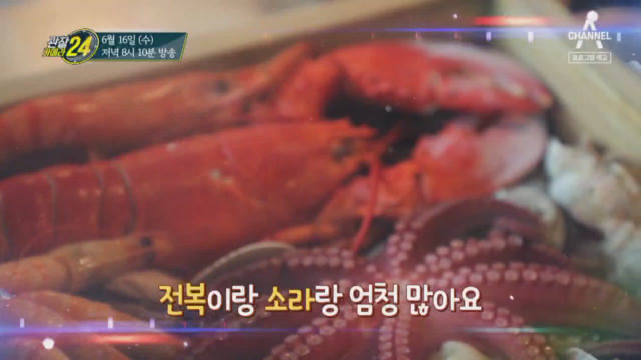 관찰 카메라 24 193회