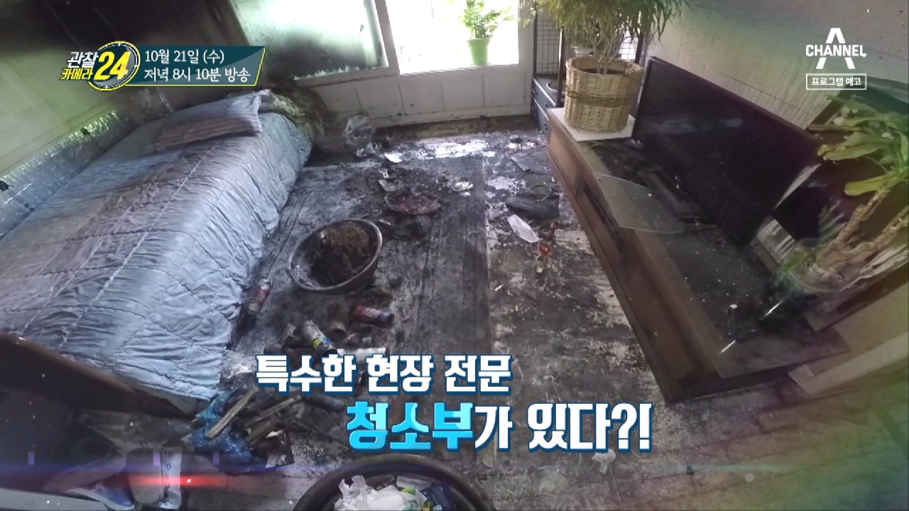 관찰 카메라 24 160회