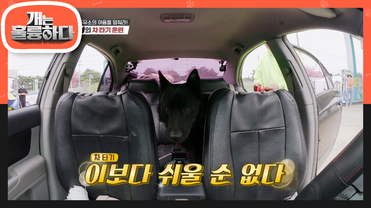 잭을 위해 고군 분투하는 제자들! 이제 잭에게 차도 문제 없어♬ | KBS 210510 방송