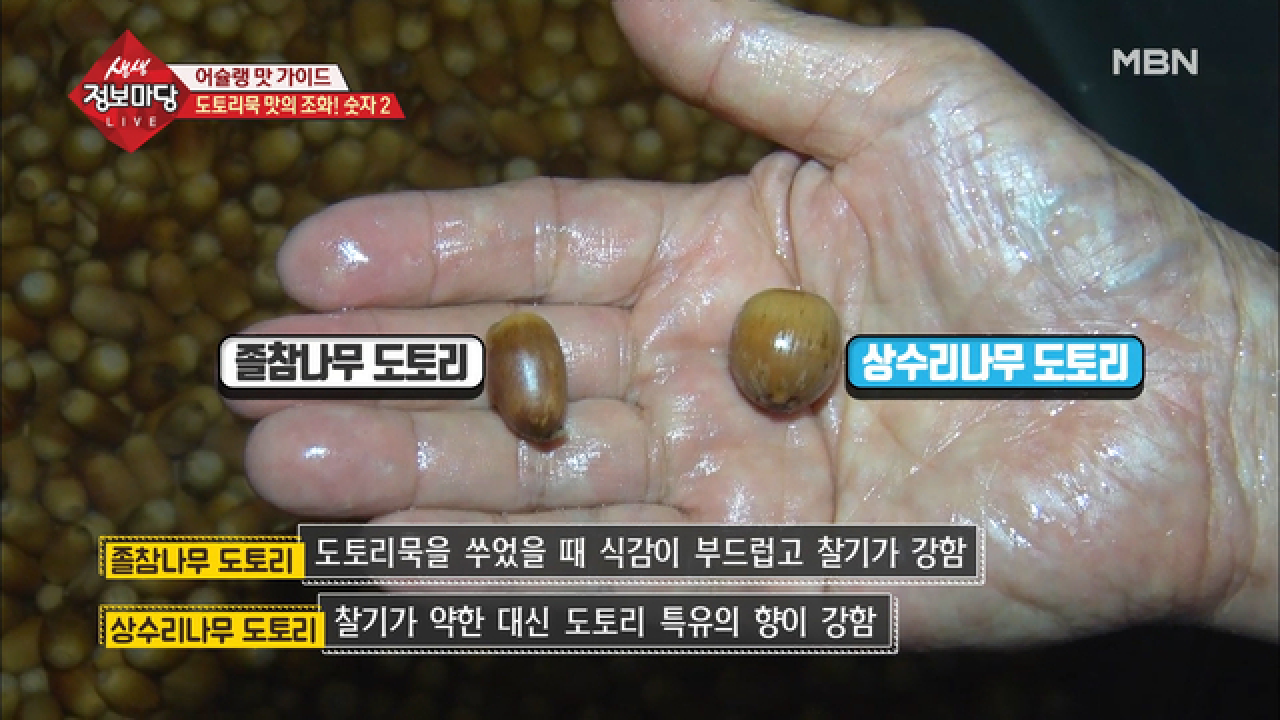 도토리묵 맛집 수제 방식 과정 공개 ① - kakaoTV 도토리묵 맛집 수제 방식 과정 공개 ①