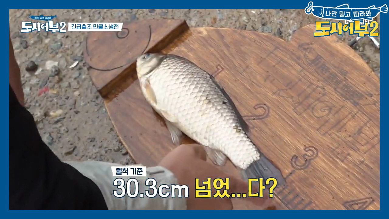 애매하다 애매해ㄷㄷ;; 태곤의 붕어는 월척 기준을 넘었을까?!