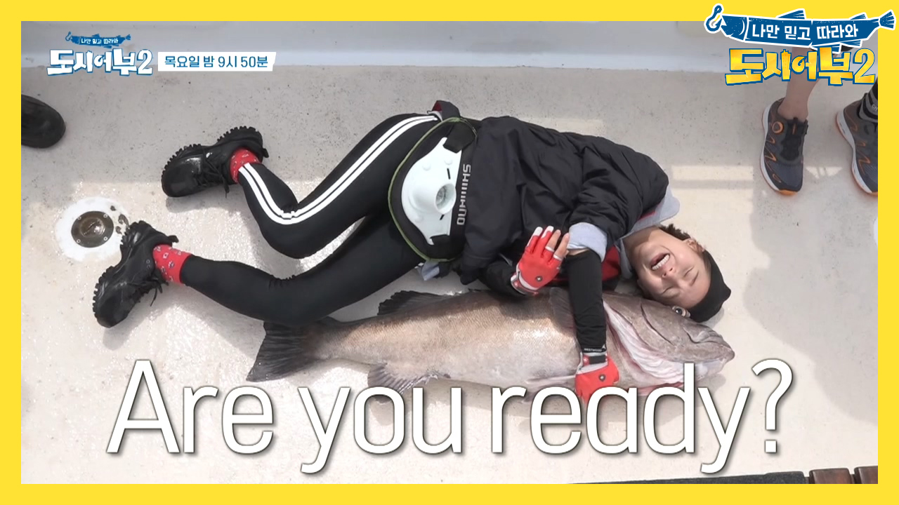 [다음이야기] 넣을 때마다 나오는 레전드 황금어장, New Zealand...