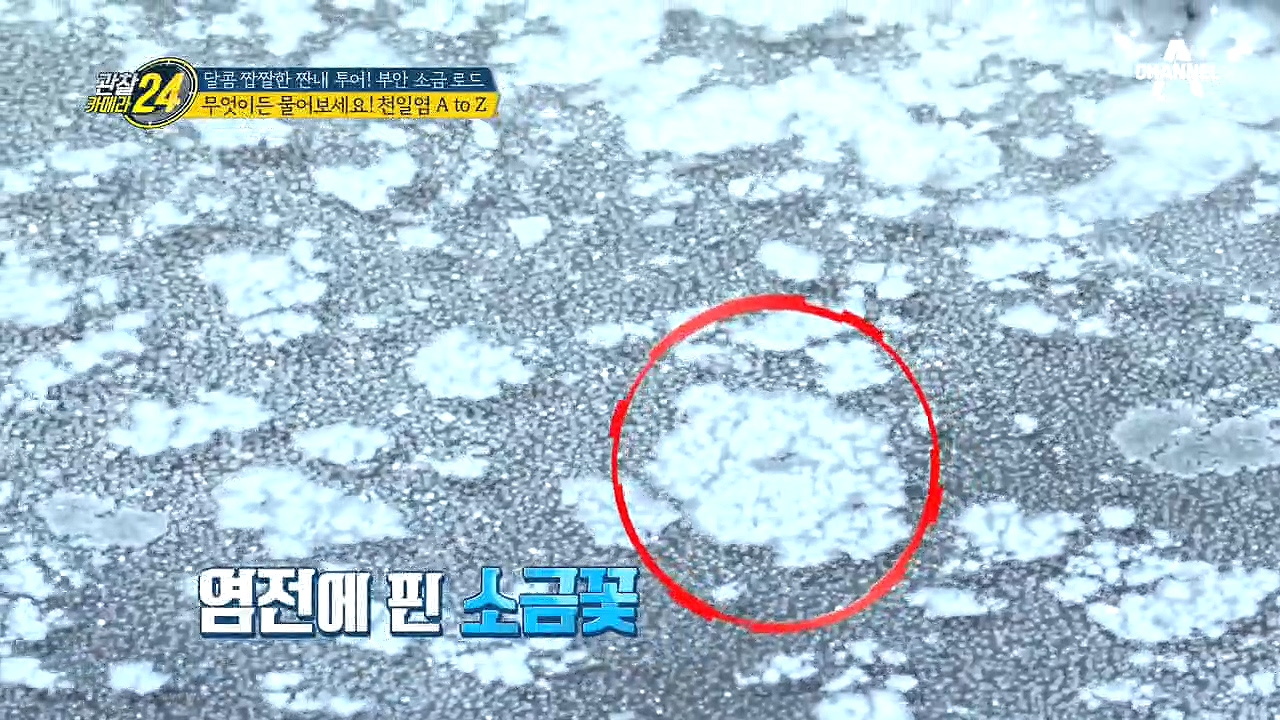 '천일염 A to Z' 갯벌로 이루어진 증발지부터 타일로 이루어진 결정지까지!