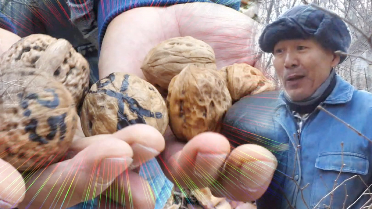 thumb.png?ts=1579004529