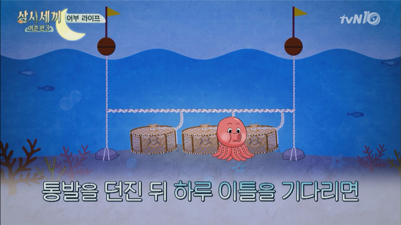 문어세끼를 위한 서지니호 출항! (특별선생님 옆집선장님)