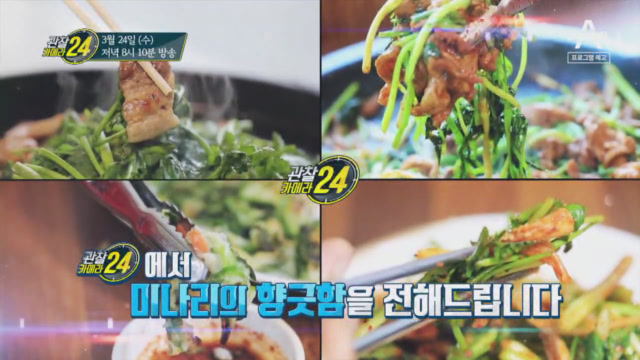 관찰 카메라 24 182회